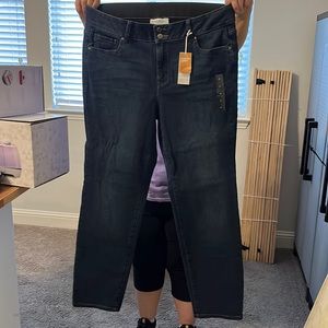 NWT Lane Bryant Essential Stretch Jeans with Two Buttons